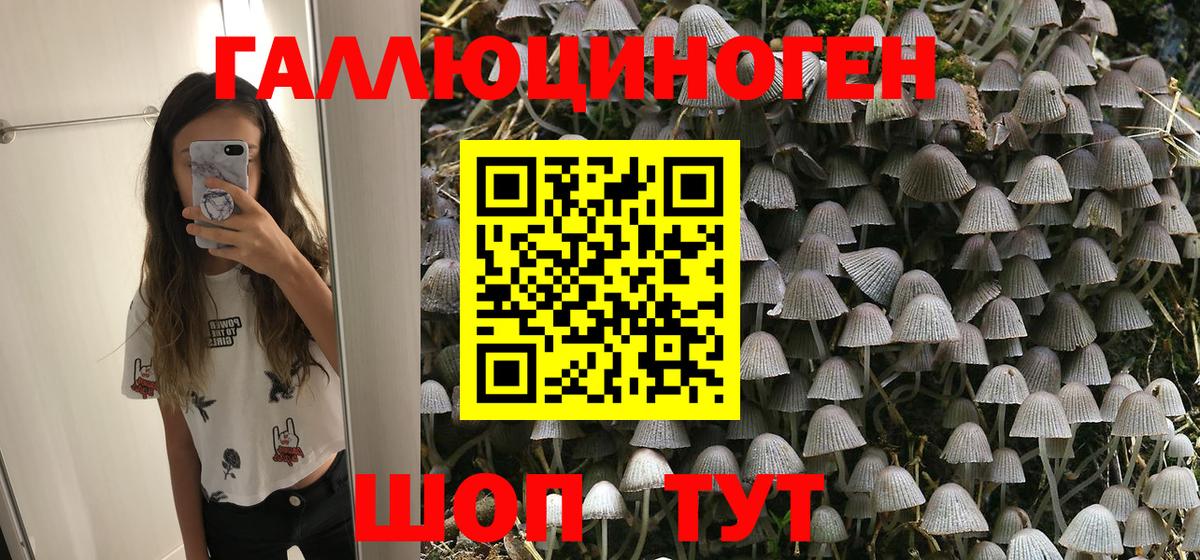 Галлюциногенные грибы Psilocybe Волжский