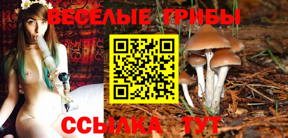 Псилоцибиновые грибы ЛСД  Галлюциногенные грибы Psilocybe  Вход с VPN  Волжский 